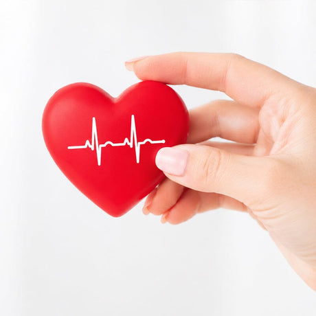 Circulație & Sănătatea Cardiovasculară