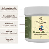 Reumaticus - Gel 250ml. Extracte naturale din plante medicinale cu efect antireumatic și calmare a durerilor Gel Faunus Plant 
