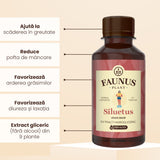 Siluetus - Tinctură fără alcool. Flacon 200ml. Formulǎ unică naturalǎ din 9 plante medicinale pentru reducerea greutății, arderea grăsimilor și detoxifiere Tinctura Compusa Faunus Plant 
