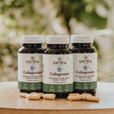 Colagenus Capsule - Colagen concentrat tip II, acid hialuronic și plante medicinale. Dureri articulare, rezistență articulații, flexibilitate - 60 Capsule Supliment alimentar Faunus Plant 