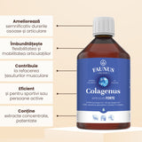 Colagenus Articulații Forte - Colagen lichid concentrat, 12.000mg colagen tip 1 și 40mg colagen tip 2. Flacon 500ml. Susține sănătatea articulațiilor, reducerea inflamațiilor și durerii reumatice, refacerea mușchilor și ligamentelor Supliment alimentar Faunus Plant 