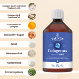 Colagenus Articulații Forte - Colagen lichid concentrat, 12.000mg colagen tip 1 și 40mg colagen tip 2. Flacon 500ml. Susține sănătatea articulațiilor, reducerea inflamațiilor și durerii reumatice, refacerea mușchilor și ligamentelor Supliment alimentar Faunus Plant 