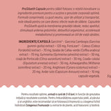 ProSilueth Capsule - Formulă unică pentru cura de slăbire, plante medicinale cu acțiune dovedită pentru accelerarea metabolismului, arderea grăsimilor, reducerea apetitului și detoxifierea organismului - 90 capsule Supliment alimentar Faunus Plant 