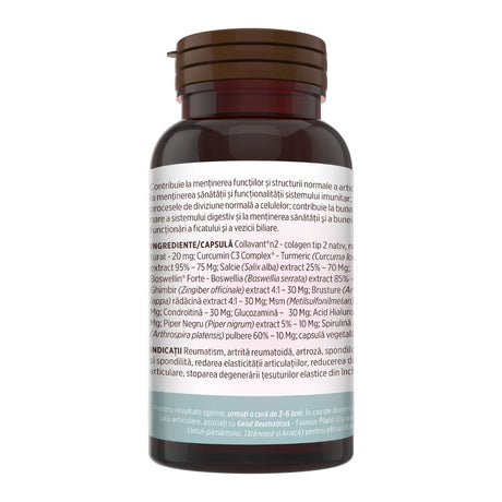 Colagenus Capsule - Colagen concentrat tip II, acid hialuronic și plante medicinale. Dureri articulare, rezistență articulații, flexibilitate - 60 Capsule Supliment alimentar Faunus Plant 