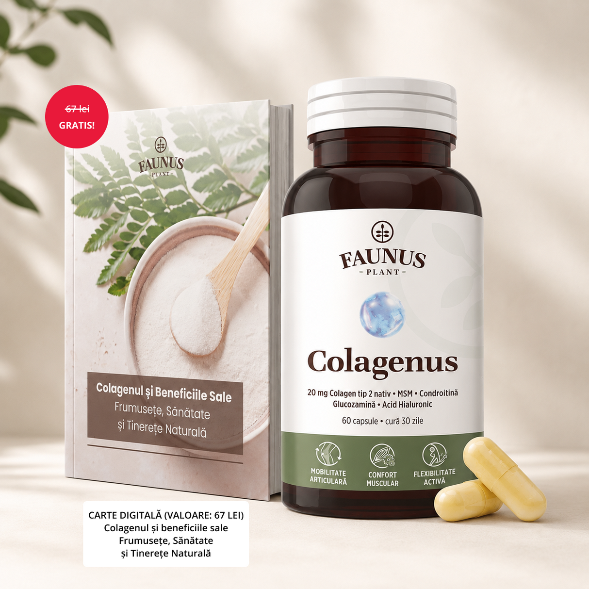Colagenus Capsule - Colagen concentrat tip II, acid hialuronic și plante medicinale. Dureri articulare, rezistență articulații, flexibilitate - 60 Capsule Supliment alimentar Faunus Plant 