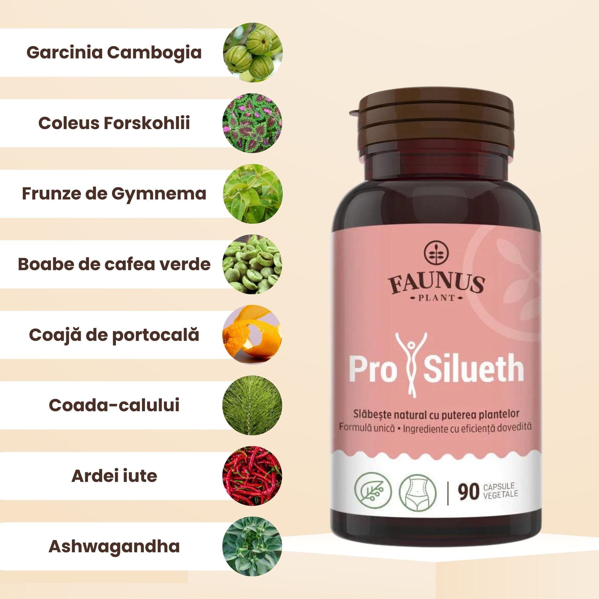 ProSilueth Capsule - Formulă unică pentru cura de slăbire, plante medicinale cu acțiune dovedită pentru accelerarea metabolismului, arderea grăsimilor, reducerea apetitului și detoxifierea organismului - 90 capsule Supliment alimentar Faunus Plant 