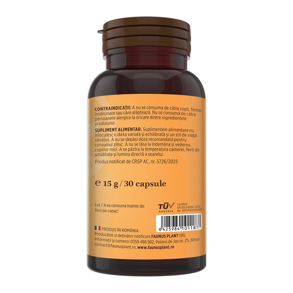 Vitamina B Complex – Capsule pentru metabolism energetic, sistem nervos și imunitate. Flacon 30 capsule Supliment alimentar Faunus Plant 