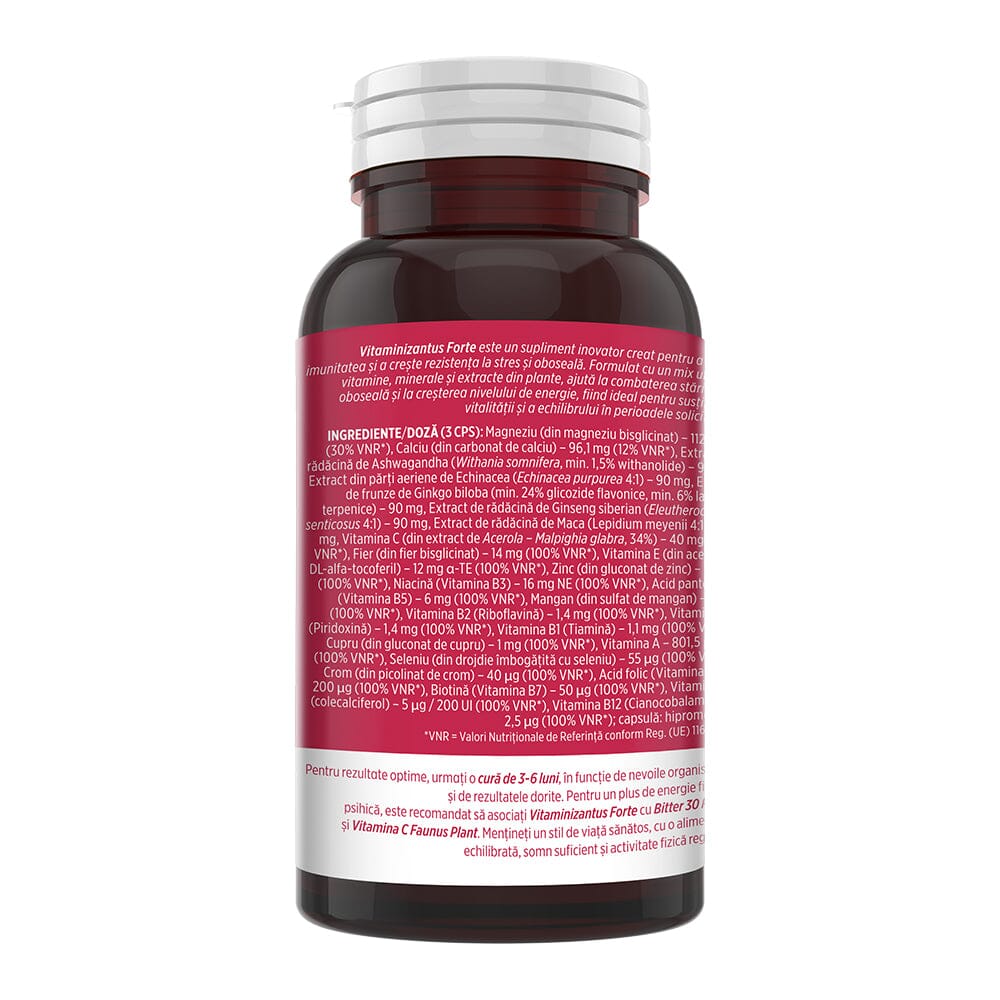 Vitaminizantus Forte - Capsule cu multivitamine și minerale de calitate. Echilibru, energie și vitalitate pentru o viață activă și solicitantă. Flacon 90 capsule Supliment alimentar Faunus Plant 