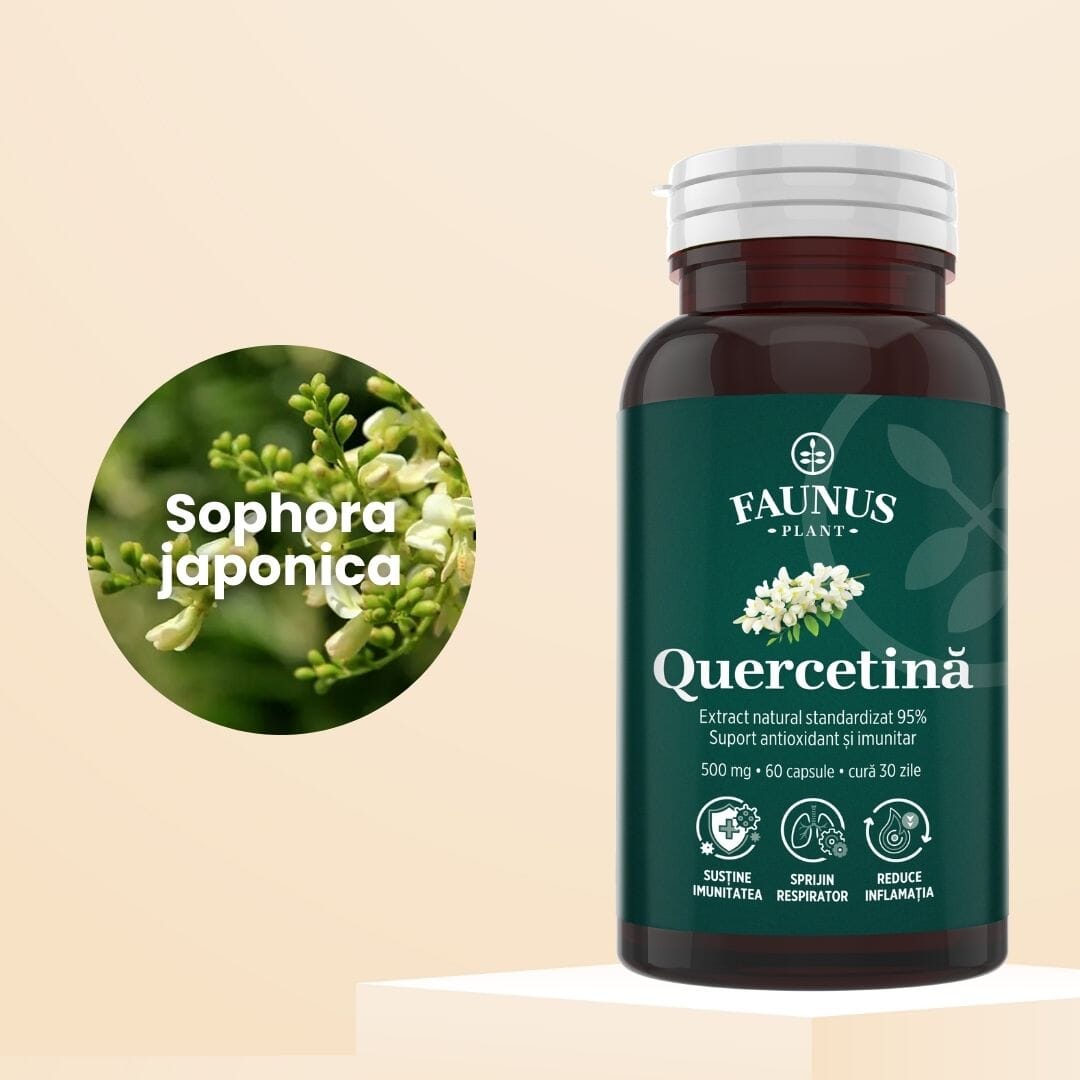 Quercetină 500mg – Antioxidant natural pentru susținerea imunității, echilibru inflamator și confort respirator sezonier. Flacon 60 capsule Supliment alimentar Faunus Plant 