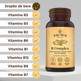 Vitamina B Complex – Capsule pentru metabolism energetic, sistem nervos și imunitate. Flacon 30 capsule Supliment alimentar Faunus Plant 