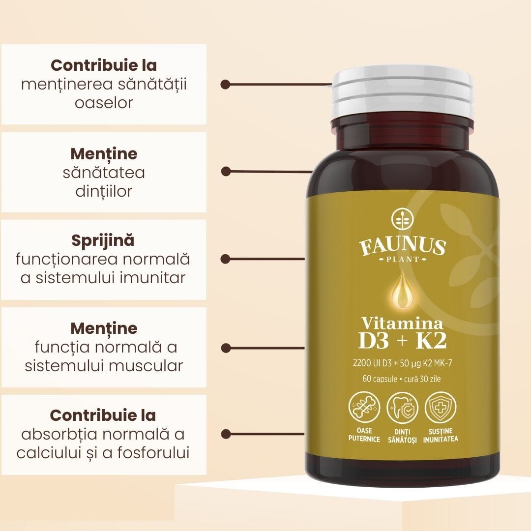 Flacon capsule Vitamina D3+K2 de la Faunus Plant fotografiat din față, având alături câteva beneficii cheie încadrate în câte un chenar: contribuie la menținerea sănătății oaselor, menține sănătatea dinților, sprijină funcționarea sistemului imunitar, menține funcția sistemului muscular, contribuie la absorbția calciului și fosforului.