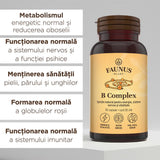 Vitamina B Complex – Capsule pentru metabolism energetic, sistem nervos și imunitate. Flacon 30 capsule Supliment alimentar Faunus Plant 