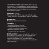 Etichetă desfășurată stânga pentru capsule Nucă Neagră de la Faunus Plant, cu detalii despre produs, listă ingrediente, mod de administrare, beneficii și contraindicații.