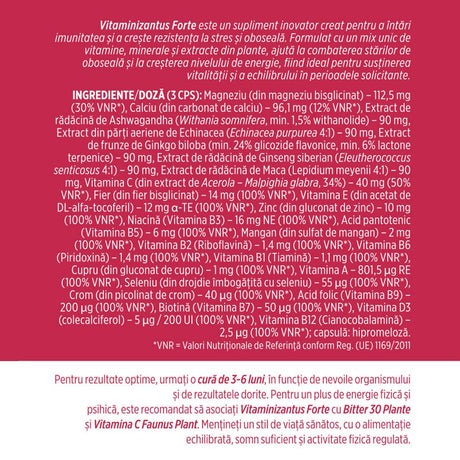 Vitaminizantus Forte - Capsule cu multivitamine și minerale de calitate. Echilibru, energie și vitalitate pentru o viață activă și solicitantă. Flacon 90 capsule Supliment alimentar Faunus Plant 