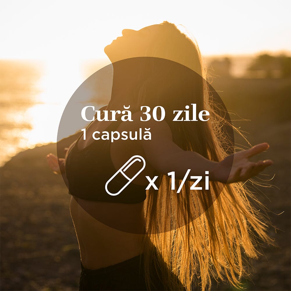 Vitamina B Complex – Capsule pentru metabolism energetic, sistem nervos și imunitate. Flacon 30 capsule Supliment alimentar Faunus Plant 
