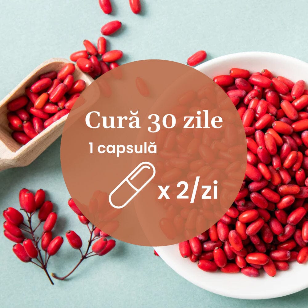 Element grafic circular afișat pe mijloc cu un text despre cura de 30 de zile cu Berberină, câte 2 capsule pe zi, având pe fundal imagine cu fructe de Berberis Aristata.