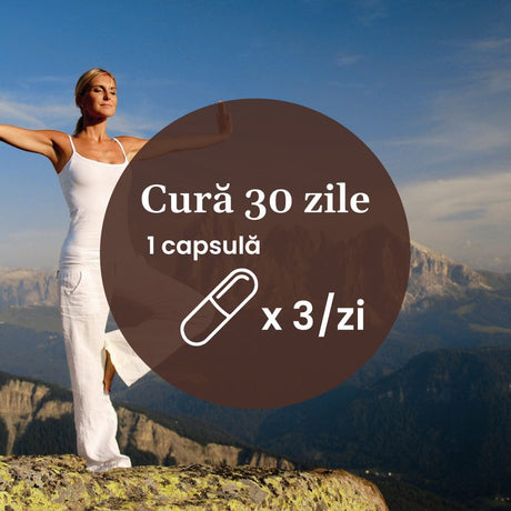 Magneziu Bisglicinat și Vitamina B6 – Formulă cu absorbție ridicată pentru echilibru nervos, energie și relaxare musculară. Flacon 90 capsule Supliment alimentar Faunus Plant 