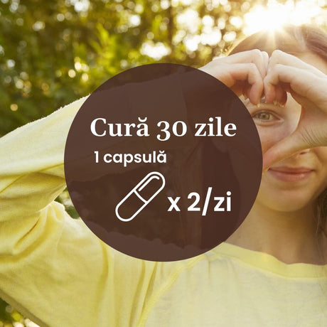 Omega 3 6 9 – Acizi grași esențiali cu vitamina E naturală pentru inimă sănătoasă, piele fermă și articulații puternice. Flacon 60 capsule Supliment alimentar Faunus Plant 