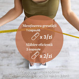 ProSilueth Capsule - Formulă unică pentru cura de slăbire, plante medicinale cu acțiune dovedită pentru accelerarea metabolismului, arderea grăsimilor, reducerea apetitului și detoxifierea organismului - 90 capsule Supliment alimentar Faunus Plant 