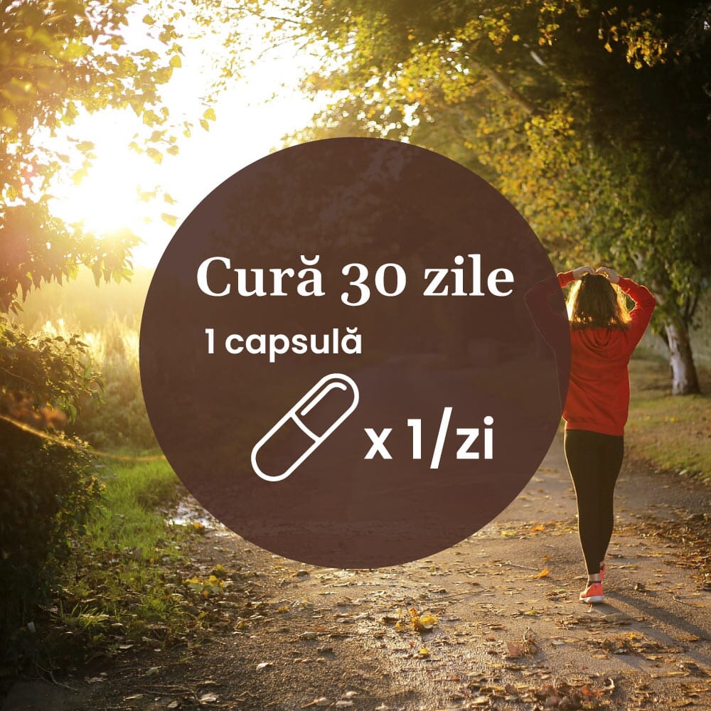 Vitamina D3 5000 UI – Concentrație mare de vitamina D3 pentru imunitate, absorbția calciului și fosforului în oase și mușchi. Flacon 30 capsule Supliment alimentar Faunus Plant 