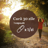 Vitamina D3 5000 UI – Concentrație mare de vitamina D3 pentru imunitate, absorbția calciului și fosforului în oase și mușchi. Flacon 30 capsule Supliment alimentar Faunus Plant 