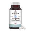 Colagenus Capsule - Colagen concentrat tip II, acid hialuronic și plante medicinale. Dureri articulare, rezistență articulații, flexibilitate - 60 Capsule Supliment alimentar Faunus Plant 