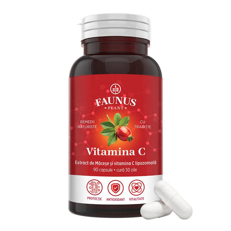 Vitamina C lipozomală cu măceșe - Concentrație mare de vitamina C pentru imunitate, absorbție fier și producerea de colagen - 90 Capsule Supliment alimentar Faunus Plant 