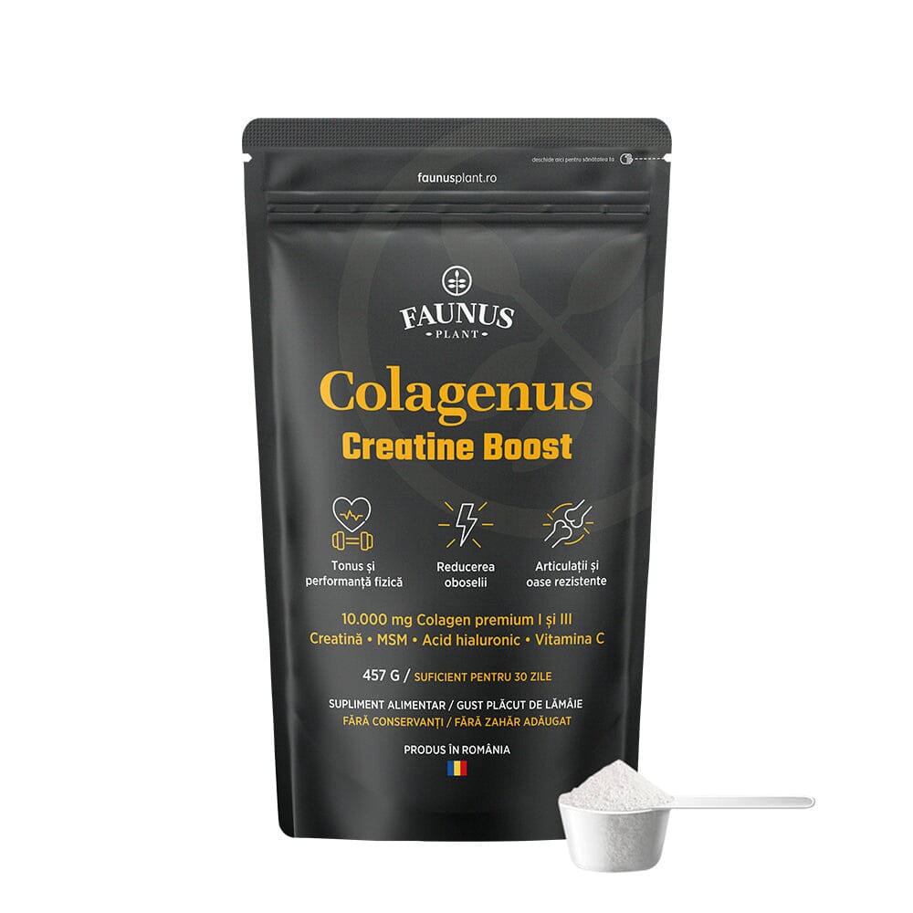 Colagenus Creatine Boost – Colagen pudră cu acid hialuronic și creatină. Colagen tip 1 și 3 pentru masa musculară, articulații sănătoase și piele hidratată. Pudră 457g Supliment alimentar Faunus Plant 