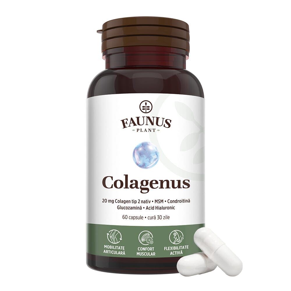 Colagenus Capsule - Colagen concentrat tip II, acid hialuronic și plante medicinale. Dureri articulare, rezistență articulații, flexibilitate - 60 Capsule Supliment alimentar Faunus Plant 
