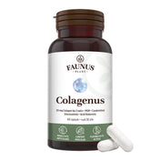 Colagenus Capsule - Colagen concentrat tip II, acid hialuronic și plante medicinale. Dureri articulare, rezistență articulații, flexibilitate - 60 Capsule Supliment alimentar Faunus Plant 