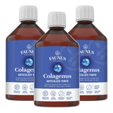Pachet 2+1 Gratis Colagenus Articulații Forte pentru mobilitate, confort și articulații sănătoase. 12.000mg colagen tip I, II și III Pachet Faunus Plant 