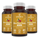 Pachet 2+1 Gratis Berberină 1000mg / 2 capsule. Echilibru metabolic, susținerea nivelului normal al glucozei, colesterolului și trigliceridelor Pachet Faunus Plant 