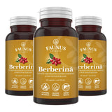 Pachet 2+1 Gratis Berberină pentru echilibru metabolic, susținerea nivelului normal al glucozei, colesterolului și trigliceridelor. 500 mg berberină/capsulă Pachet Faunus Plant 