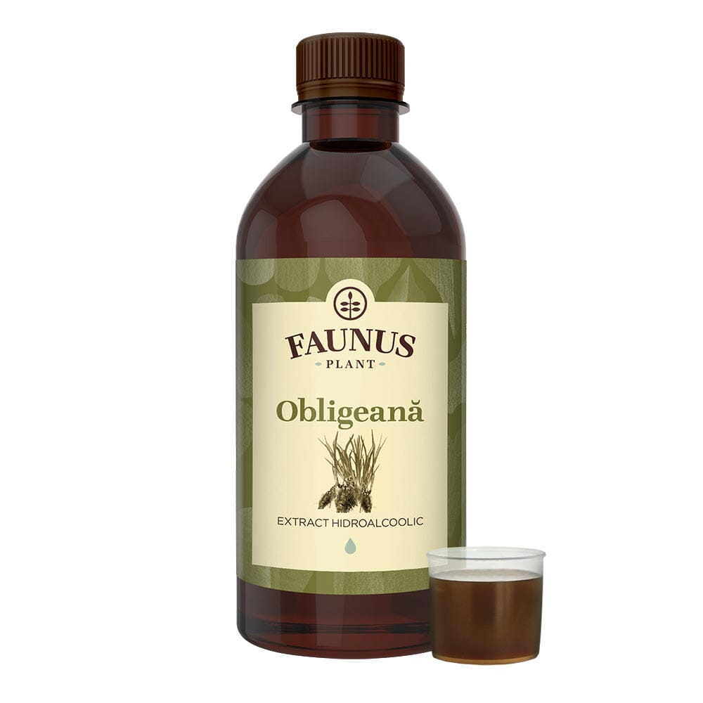 Flacon Tinctura Obligeană de 500ml, căreia i se observă eticheta frontală, logo și denumirea. În dreapta produsului, o mostră reprezentativă. | Cantitate - 500ml