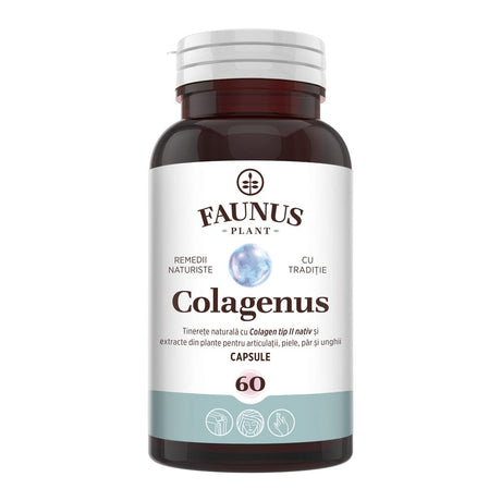 Colagenus Capsule - Colagen concentrat tip II, acid hialuronic și plante medicinale. Dureri articulare, rezistență articulații, flexibilitate - 60 Capsule Supliment alimentar Faunus Plant 