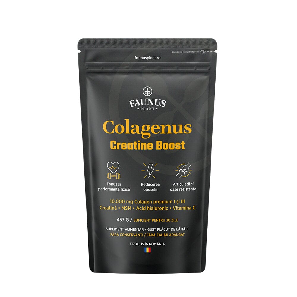 Colagenus Creatine Boost – Colagen pudră cu acid hialuronic și creatină. Colagen tip 1 și 3 pentru masa musculară, articulații sănătoase și piele hidratată. Pudră 457g Supliment alimentar Faunus Plant 