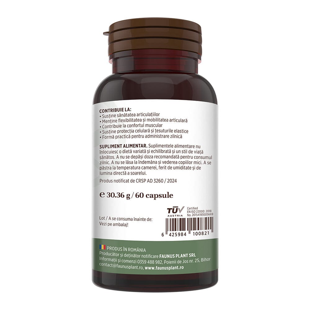 Colagenus Capsule - Colagen concentrat tip II, acid hialuronic și plante medicinale. Dureri articulare, rezistență articulații, flexibilitate - 60 Capsule Supliment alimentar Faunus Plant 