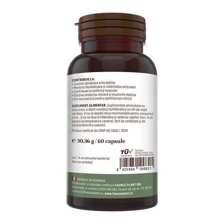 Colagenus Capsule - Colagen concentrat tip II, acid hialuronic și plante medicinale. Dureri articulare, rezistență articulații, flexibilitate - 60 Capsule Supliment alimentar Faunus Plant 