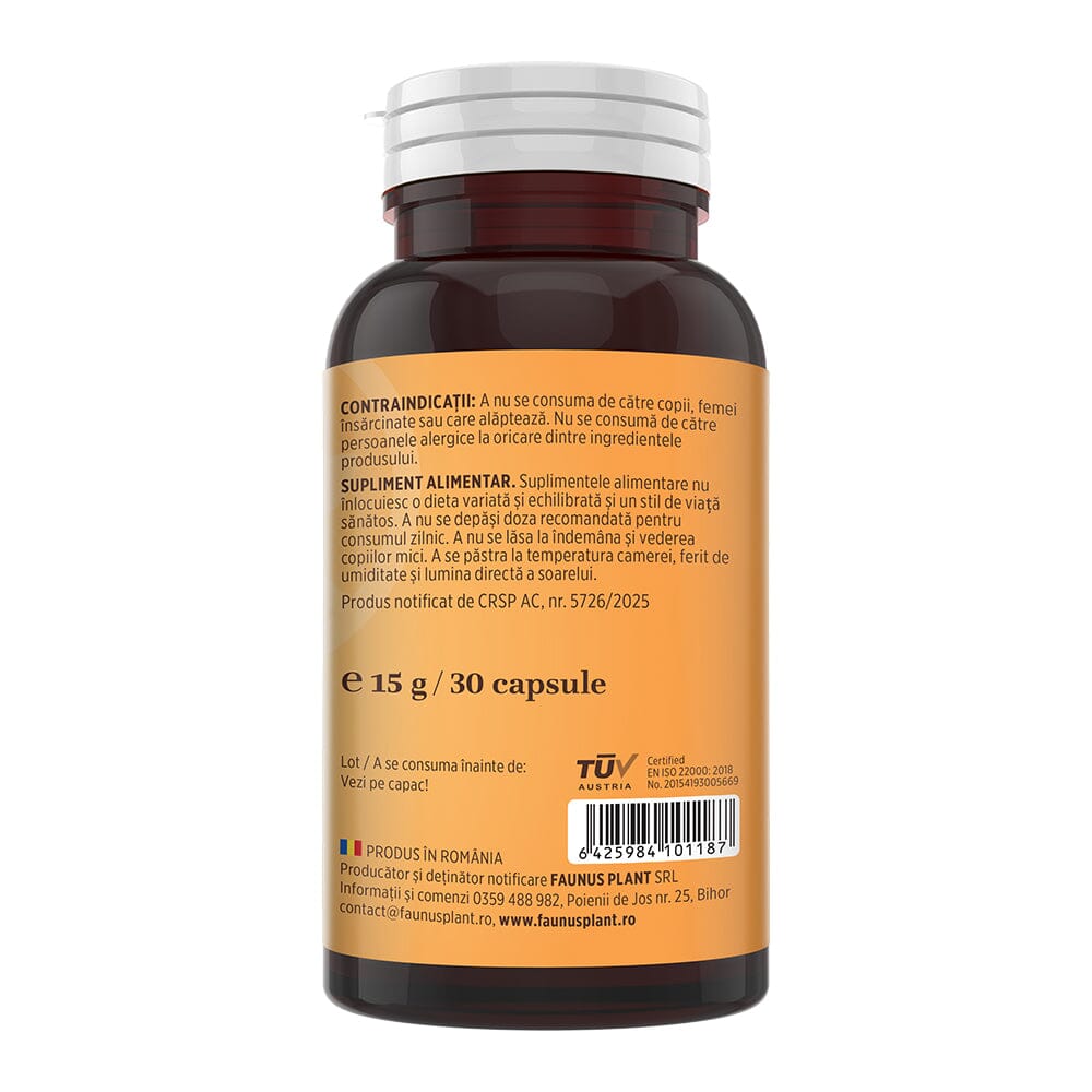 Vitamina B Complex – Capsule pentru metabolism energetic, sistem nervos și imunitate. Flacon 30 capsule Supliment alimentar Faunus Plant 