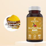 Pachet 2+1 Gratis Berberină 1000mg / 2 capsule. Echilibru metabolic, susținerea nivelului normal al glucozei, colesterolului și trigliceridelor Pachet Faunus Plant 