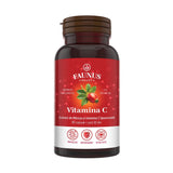 Capsule Vitamina C de la Faunus Plant, ambalaj roșu cu grafică de măceșe și molecule. Fiecare flacon conține 90 capsule, recomandate pentru susținerea sistemului imunitar și vitalitate.