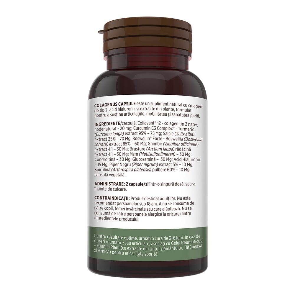 Colagenus Capsule - Colagen concentrat tip II, acid hialuronic și plante medicinale. Dureri articulare, rezistență articulații, flexibilitate - 60 Capsule Supliment alimentar Faunus Plant 