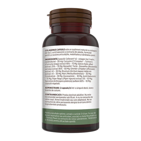 Colagenus Capsule - Colagen concentrat tip II, acid hialuronic și plante medicinale. Dureri articulare, rezistență articulații, flexibilitate - 60 Capsule Supliment alimentar Faunus Plant 
