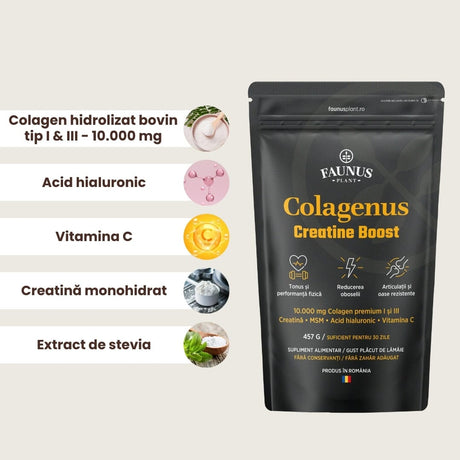 Colagenus Creatine Boost – Colagen pudră cu acid hialuronic și creatină. Colagen tip 1 și 3 pentru masa musculară, articulații sănătoase și piele hidratată. Pudră 457g Supliment alimentar Faunus Plant 