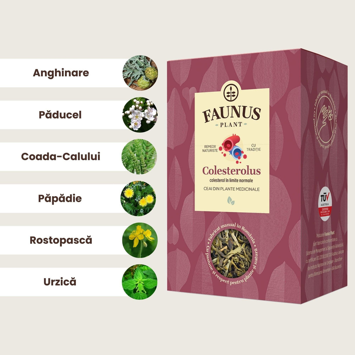 Ilustrație cu ingrediente principale ale Ceaiului Colesterolus 90g de la Faunus Plant, incluzând anghinare, păducel, coada-calului, păpădie, rostopască și urzică, alături de imaginea cutiei.