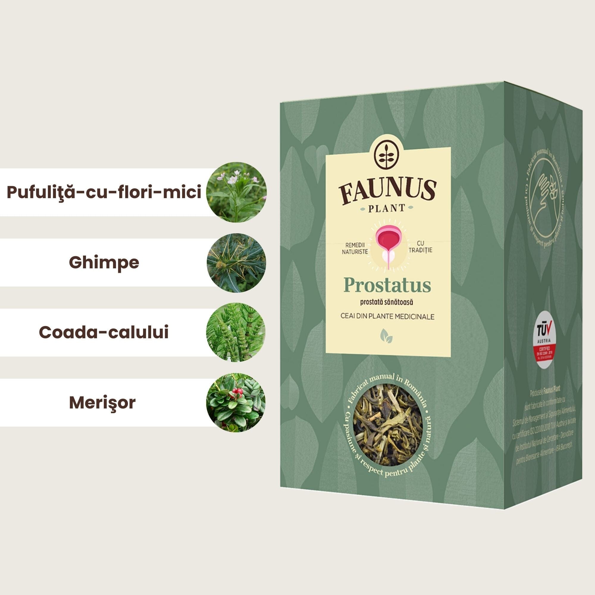 Imagine grafică cutia de Ceai Prostatus și principalele ingrediente: pufuliță-cu-flori-mici, ghimpe, coada-calului și merișor.