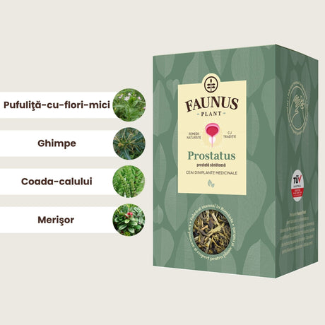 Imagine grafică cutia de Ceai Prostatus și principalele ingrediente: pufuliță-cu-flori-mici, ghimpe, coada-calului și merișor.