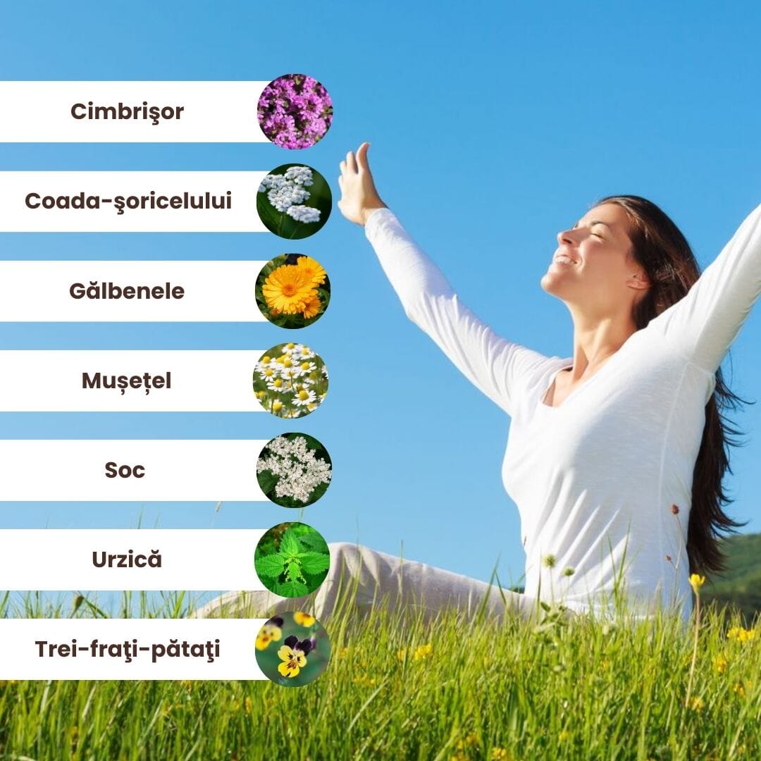 Grafică ilustrativă cu ingrediente naturale din Pachetul Hemoroizi și Fisuri Anale de la Faunus Plant, inclusiv cimbru, coada-șoricelului, gălbenele, mușețel, soc, urzică și trei-frați-pătați.