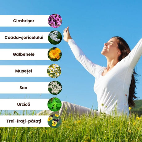 Grafică ilustrativă cu ingrediente naturale din Pachetul Hemoroizi și Fisuri Anale de la Faunus Plant, inclusiv cimbru, coada-șoricelului, gălbenele, mușețel, soc, urzică și trei-frați-pătați.