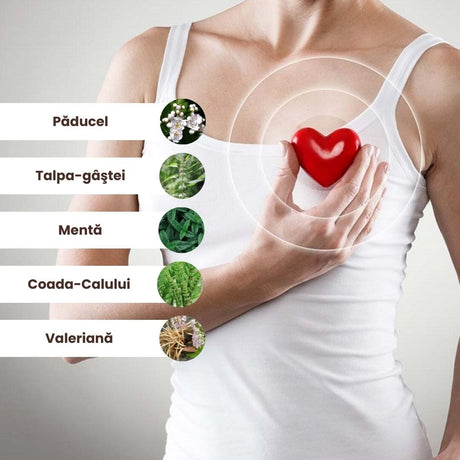 Listă de ingrediente naturale din Pachetul Cardiacus de la Faunus Plant: păducel, talpa-gâștei, mentă, coada-calului și valeriană. Ilustrații sugestive și fundal în tonuri calde, accentuând originea naturistă a produsului.